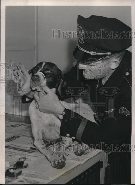 1939 Press Photo Evanston, Ill Dog warden Chester Nichols & a dog for nose print - Historic Images