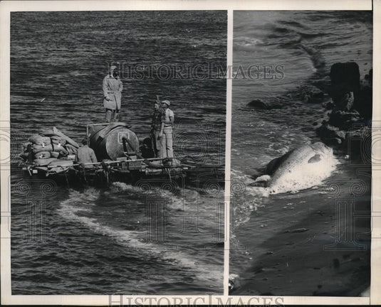 1949 Press Photo 2 Surplus Navy Life Rafts in Lake Merced 350 Acre Lake - Historic Images