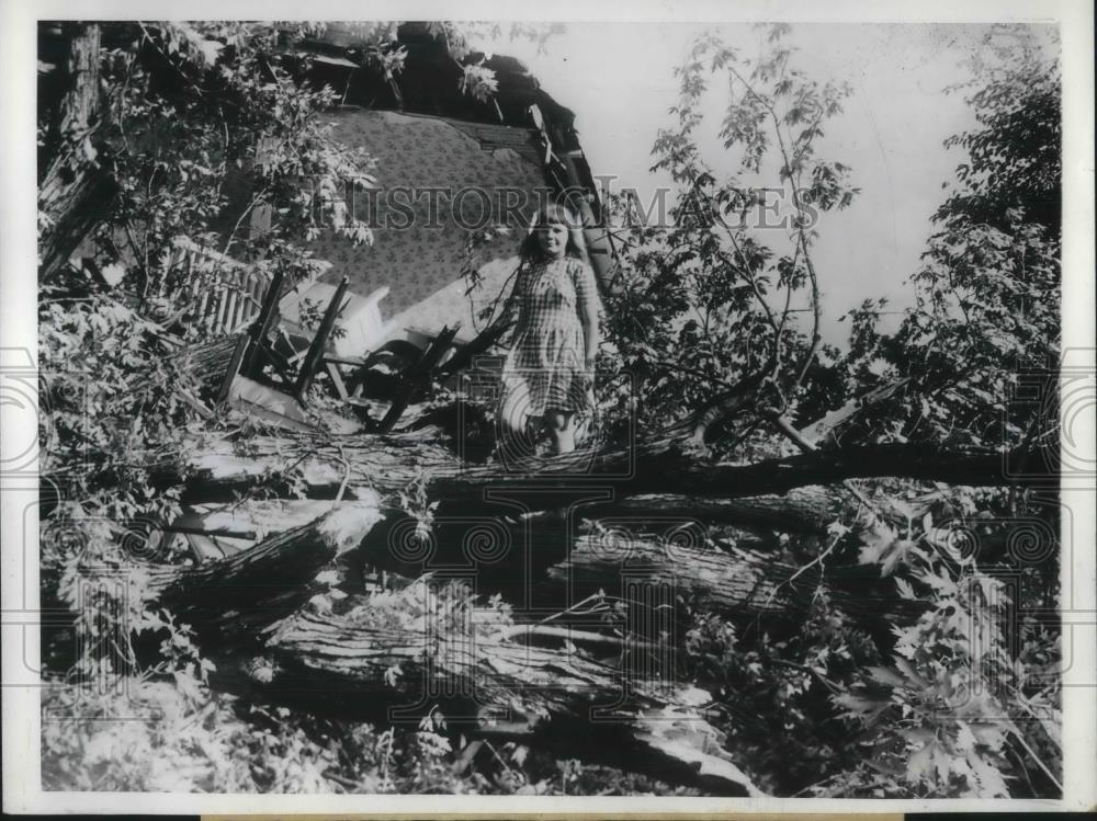 1946 Press Photo Shirley Dennison, 12, stands on tree which fell on her home - Historic Images