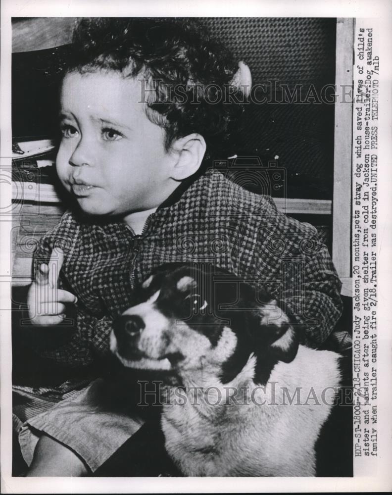 1950 Press Photo Chicago, Ill Judy Jackson &amp; stray dog who saved her - Historic Images