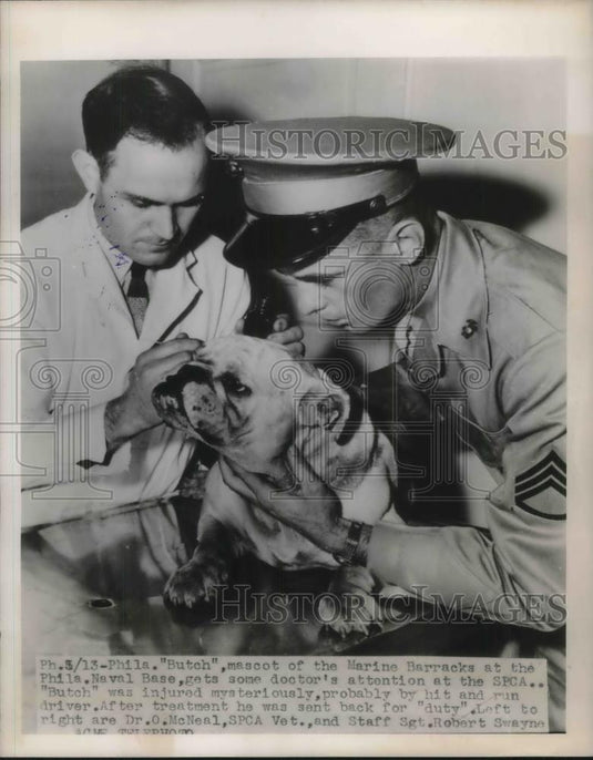 1948 Press Photo Phila. Pa Marine mascot Butch, Dr O McNeal & S/Sgt Rbt Swayne - Historic Images
