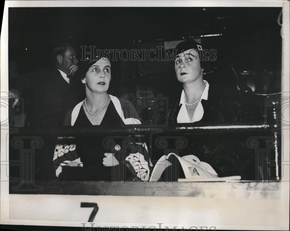 1933 Press Photo Mrs. George St. George, Mrs. Charles Gordon - Historic Images