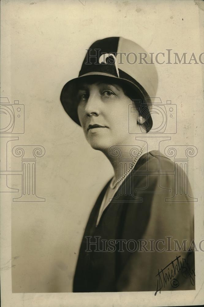 1928 Press Photo Author Poet Olive Roberts Barton - Historic Images