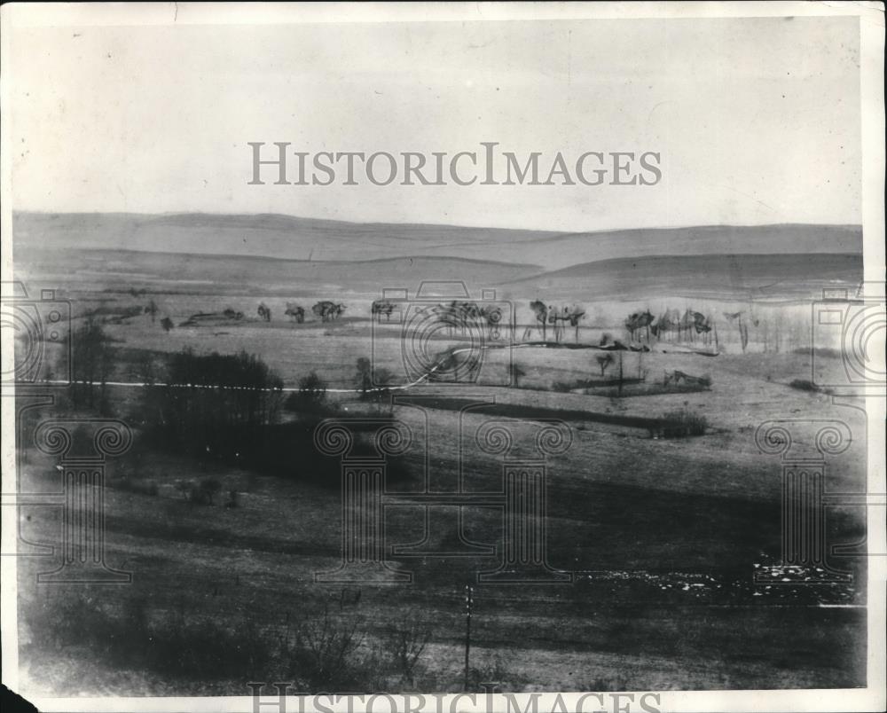 1929 Press Photo Forest of Diqulet that Ninth Infantry fought at - Historic Images