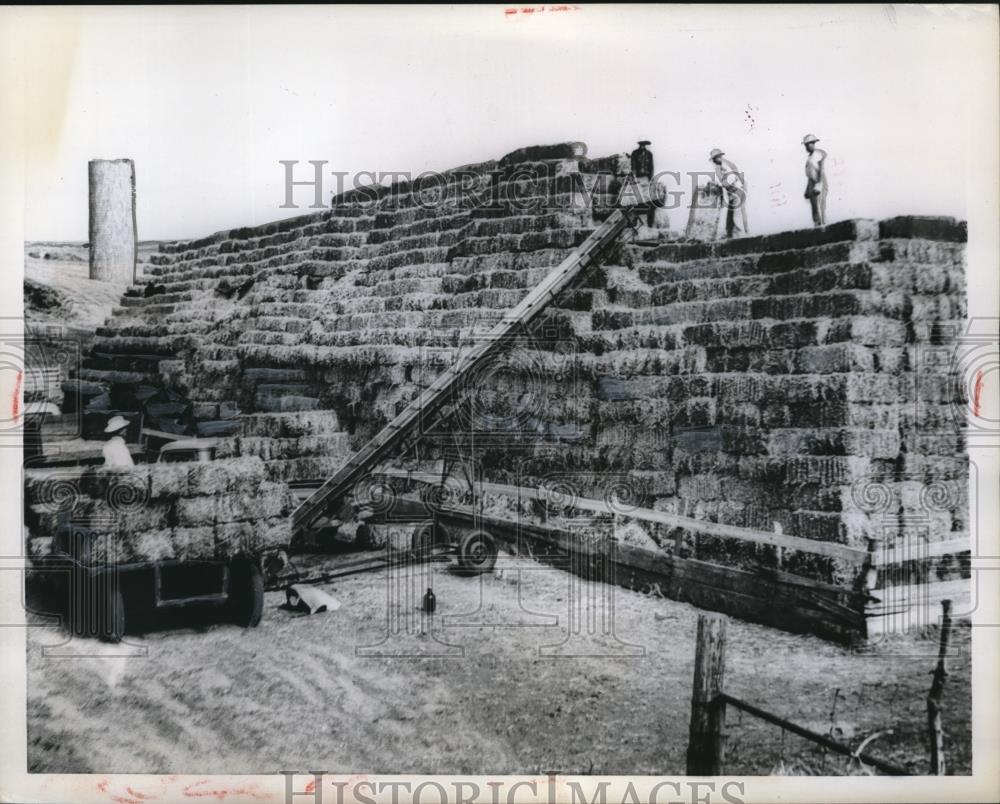 1958 Press Photo Salinas, Kansas Baled hay on Perry&#39;s farm - Historic Images