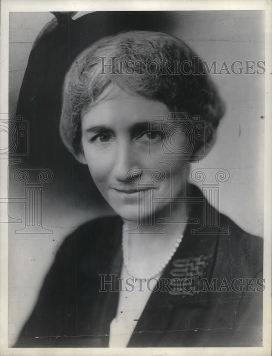 1933 Press Photo Natl Woman's Party Ms Hilles ask Pres pass Equal Rights - Historic Images