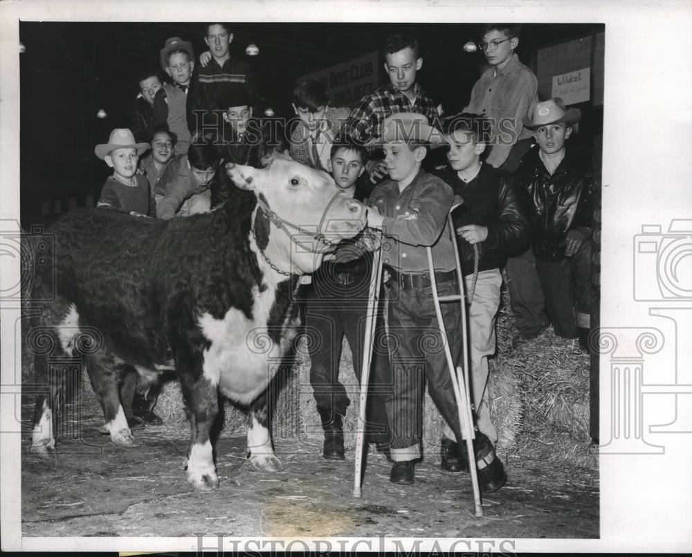 1956 Press Photo Bill Grady of Chicago Boys Club with Hereford &quot;Pale Face&quot; - Historic Images