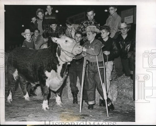 1956 Press Photo Bill Grady of Chicago Boys Club with Hereford "Pale Face" - Historic Images