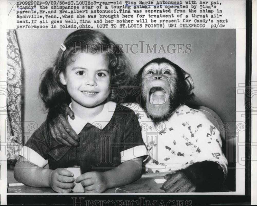 1958 Press Photo St Louis, Mo. Tina M Antoucci, age 3 &amp; chimp Candy - neb85158 - Historic Images