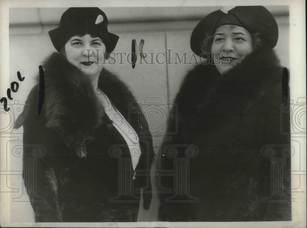 1930 Press Photo Mrs Jessie Nicholson, Mrs Clarence Busch, DWEL at D.C. hearing - Historic Images