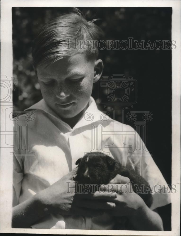 1933 Press Photo Frank Hansen of Santa Fae, CA, Holds Rescued Pup - Historic Images