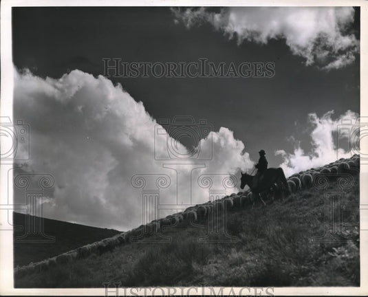 1943 Press Photo Peaceful scene on Rattlesnake Mountain, The Cascades - Historic Images