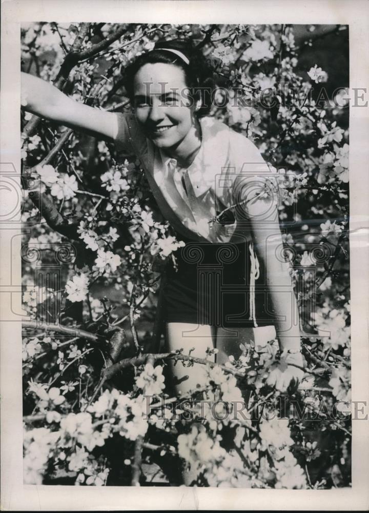 1937 Press Photo Mary Herald Among Snowy Blossoms at Catalina - Historic Images