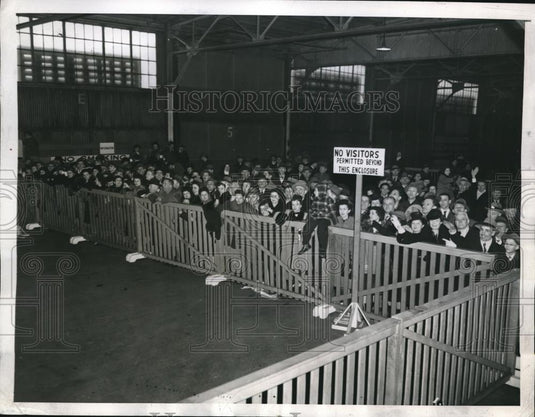 1946 Press Photo Waiting for disembarking of passengers aboard Gripsholm - Historic Images