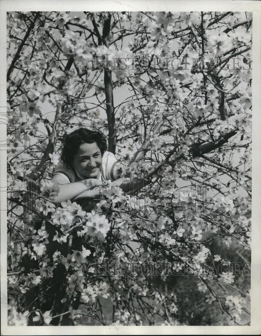 1935 Press Photo Almond trees in blossom at Catalina Island, Calif. - neb90408 - Historic Images