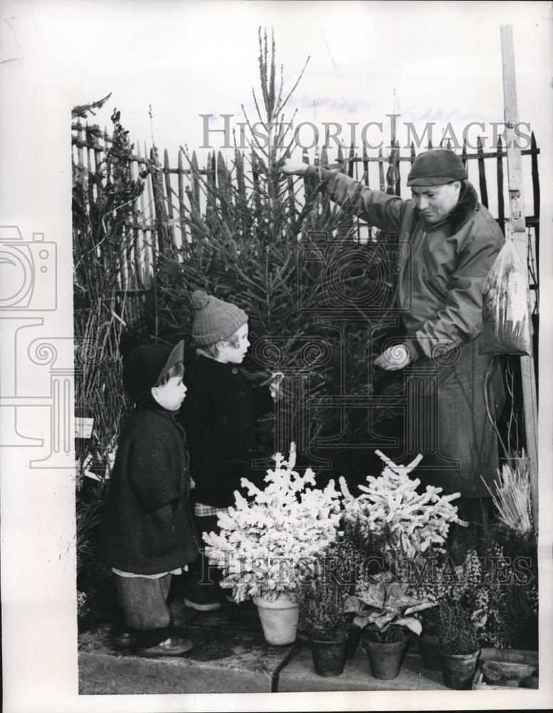 1955 Press Photo Parisian Youngsters &amp; Christmas Tree Salesman - Historic Images
