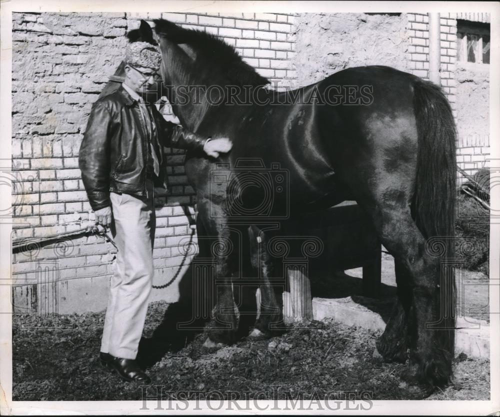 1961 Press Photo US Foreign Aid to Iran Wilbur Lawrence inspects a US Bred horse - Historic Images