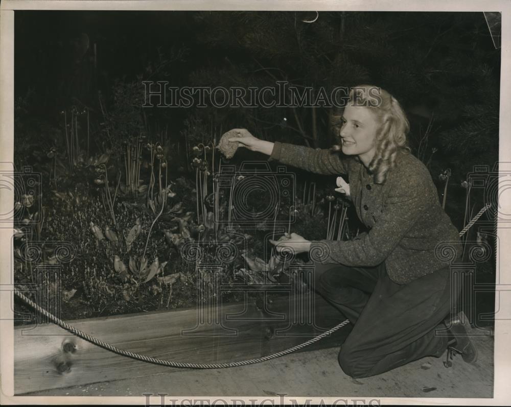 1940 Press Photo Miss Vera Lundgren International Flower Show - Historic Images