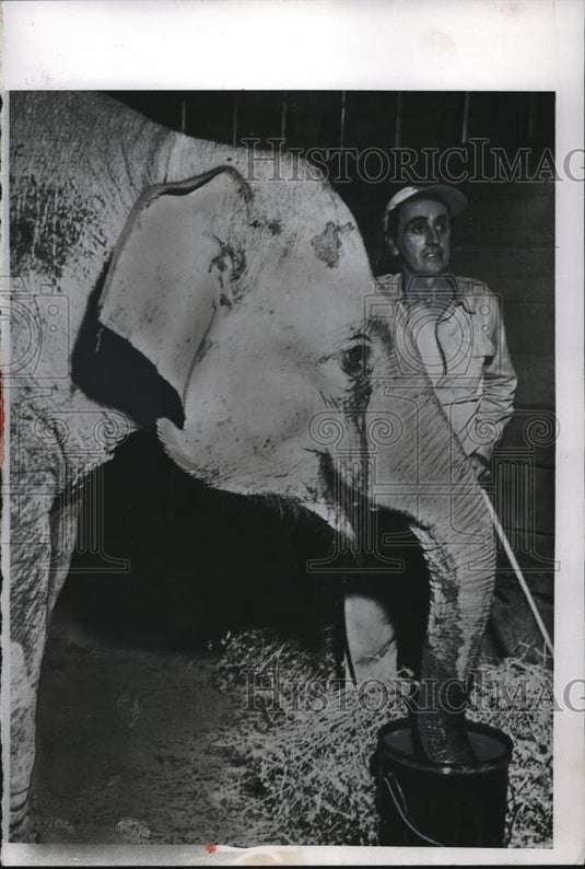 1955 Press Photo Vicki Elephant and Trainer Joe Strickland - Historic Images