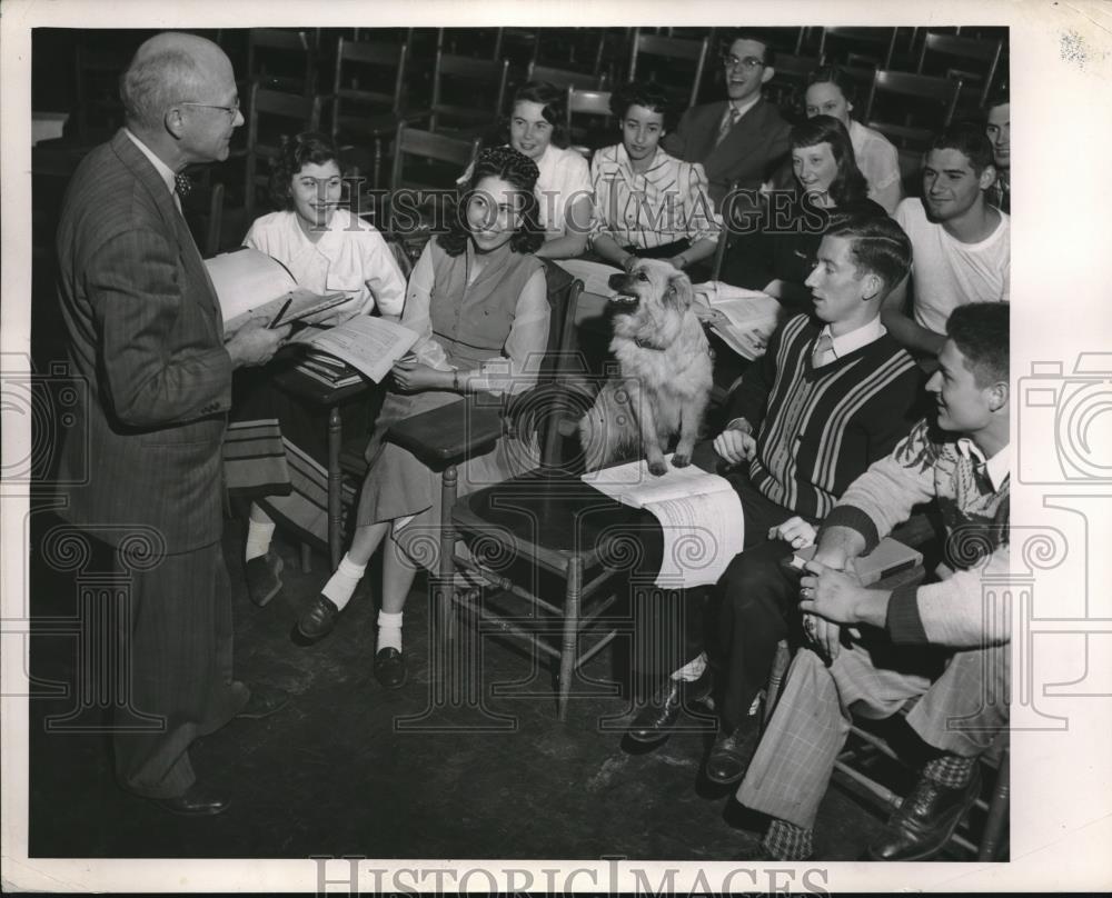 1952 Press Photo Dog in College Classroom - Historic Images