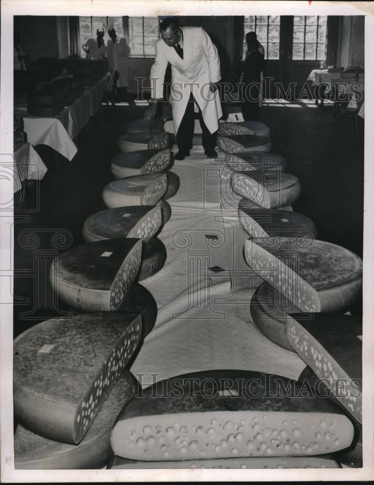 1954 Press Photo Cheese Wheels Aldis Kersten Judging at German Agriculture Fair - Historic Images