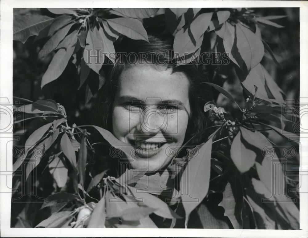 1941 Press Photo Lucille Hitchings among the Scarlett Poinsettias in bloom - Historic Images