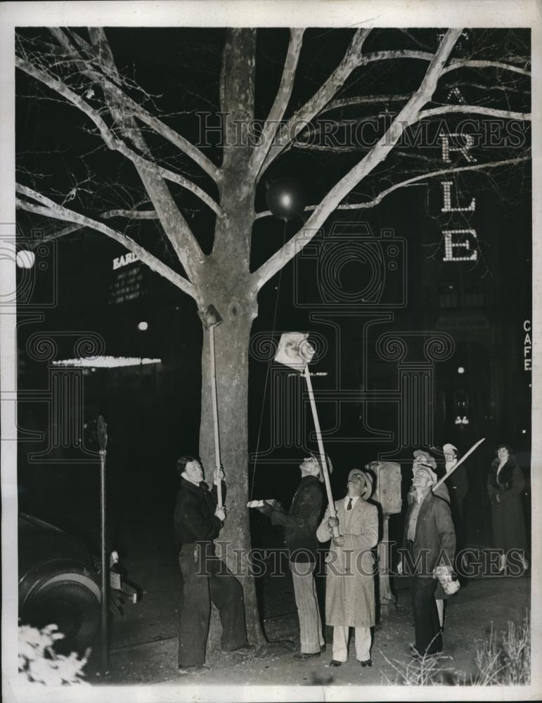 1934 Press Photo Washington D.C. plagued with flocks of Starlings - Historic Images