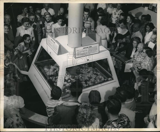 Press Photo Crowd watches baby chicks at Swift & co exhibit at Chicago museum - Historic Images