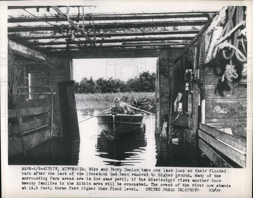 1953 Press Photo Flooded barn livestock removed to higher ground Aikin MN - Historic Images