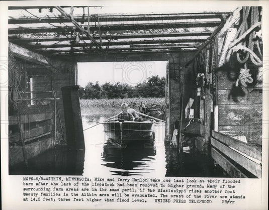 1953 Press Photo Flooded barn livestock removed to higher ground Aikin MN - Historic Images