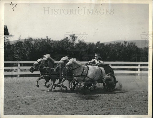 1934 Press Photo Harold Smith with Shetland ponies & Roman chariot - Historic Images