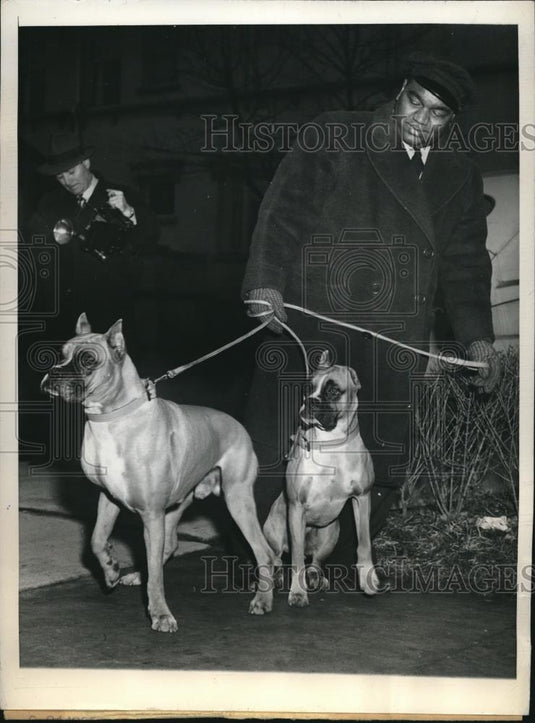 1946 Press Photo Peter Jackson Walks German Boxers Andy & Tim - Historic Images
