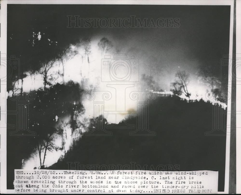 1952 Press Photo Forest Fire wind-whipped thru 3000 acres of forest land WV - Historic Images