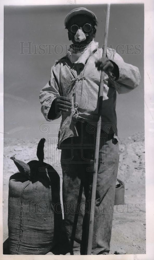 1950 Press Photo Nitrate Worker Wearing Goggles & Respirator - Historic Images