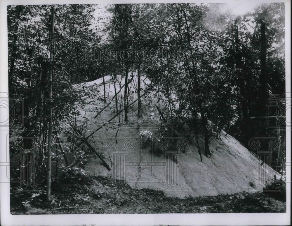 1957 Press Photo Sawdust pile at Little My lumbercamp - Historic Images