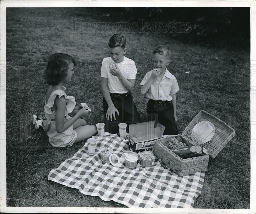 1950 Press Photo Back Yard Picnic - Historic Images