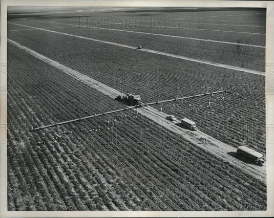 1957 Press Photo Farm Aerial View - Historic Images