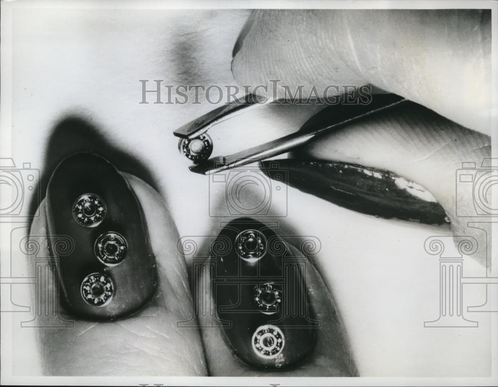 1961 Press Photo Little Bearings - Historic Images