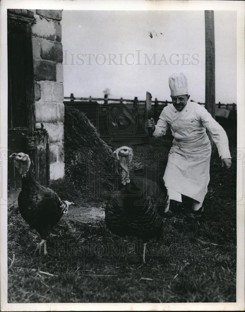 1949 Press Photo London Turkeys being chased by cook - neb72219 - Historic Images