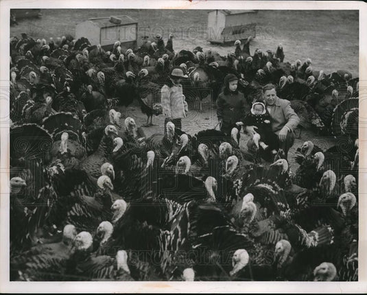 1955 Press Photo Group Surrounded By TurkeysAn J & L Turkey Farm - neb71400 - Historic Images