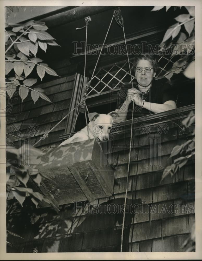 1939 Press Photo Mrs. Taylor Heaves Rope to Take Dog Buttons to Second Floor - Historic Images