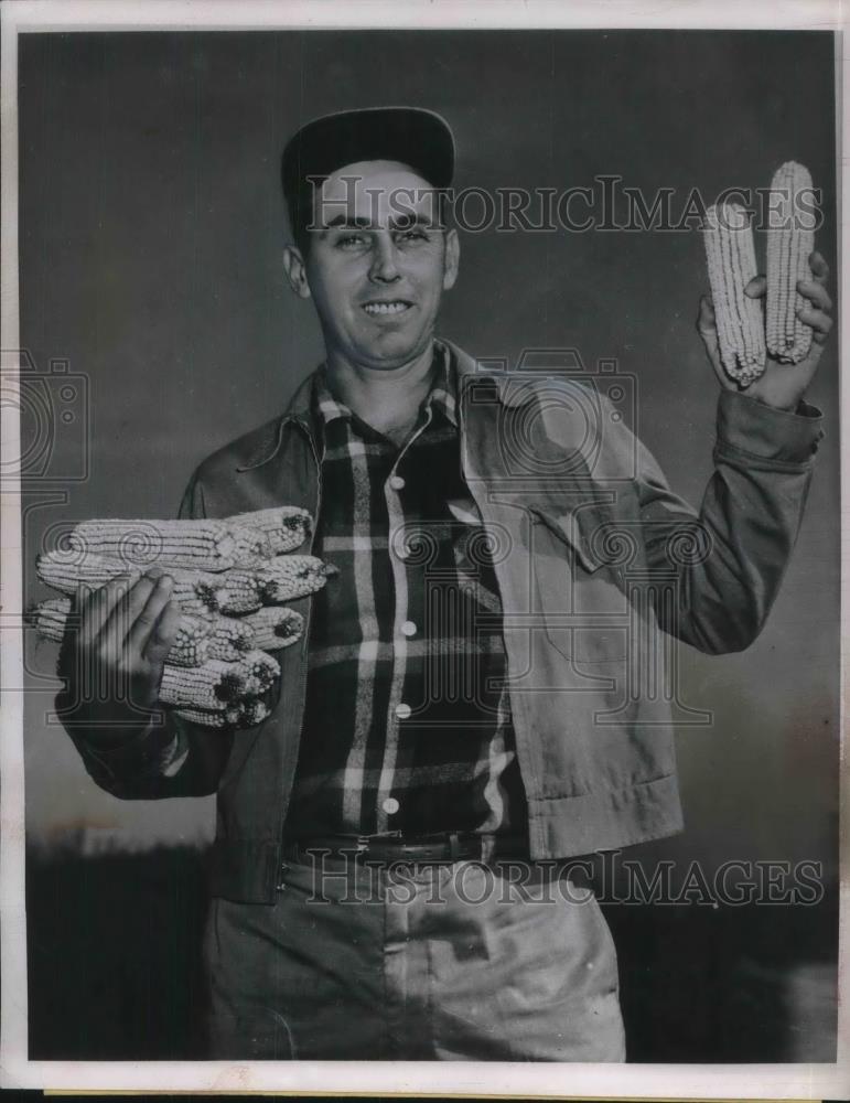 1951 Press Photo Lyon Akeman showing off his corn crops he saved from floods - Historic Images