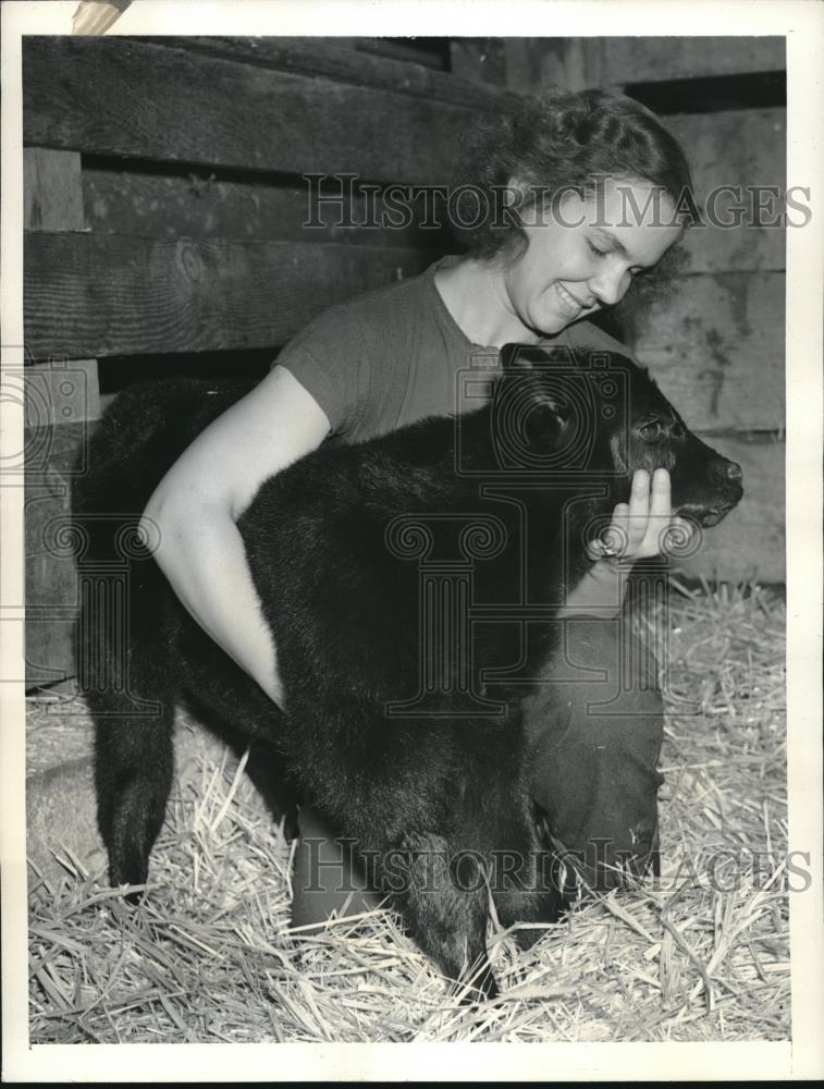 1941 Press Photo Lorraine William &amp; Angus calf in Great Western Livestock Show - Historic Images
