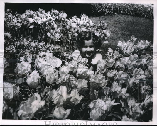 1955 Press Photo Donna Reichard in a patch of tulips, Kingwood Center - Historic Images