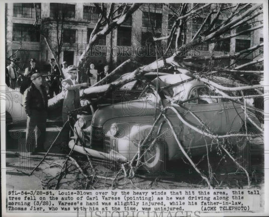 1950 Press Photo Tree Falls On Car Belonging To Carl Varese - nec01627 - Historic Images