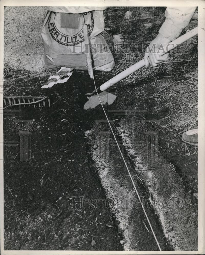 1951 Press Photo farming seed top - nec04173 - Historic Images