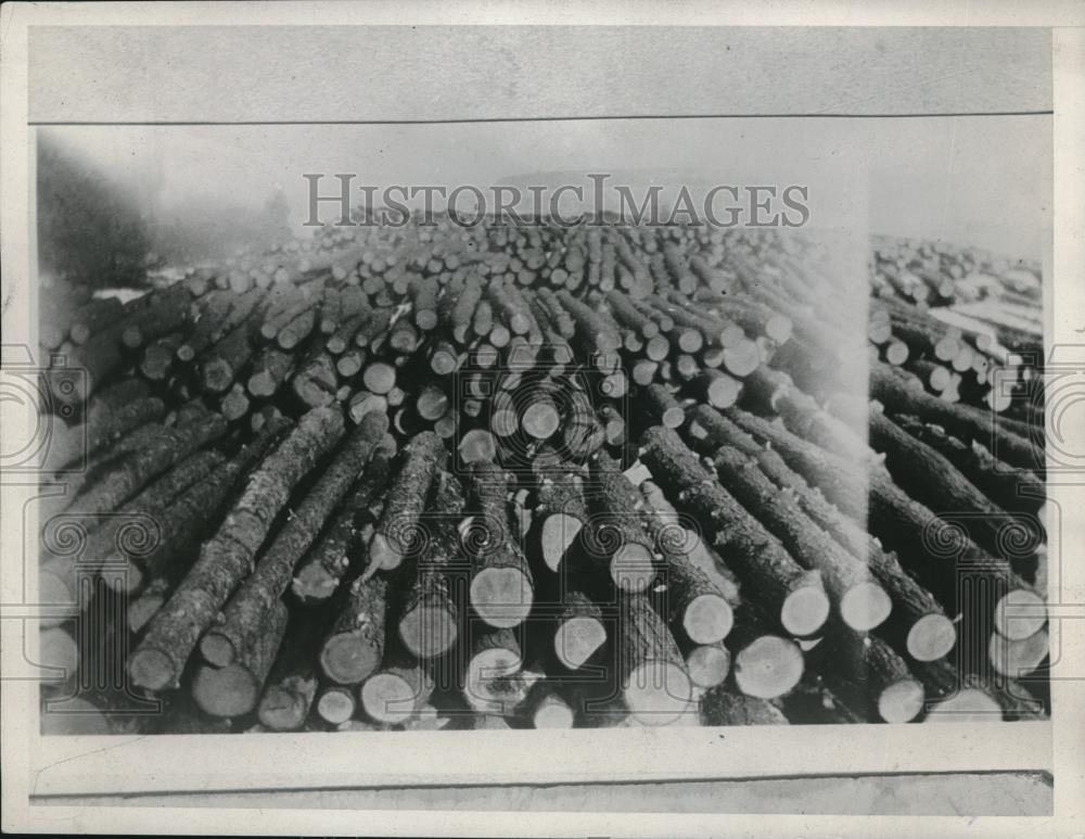 1929 Press Photo Skidded Logs Ready for Drive - Historic Images