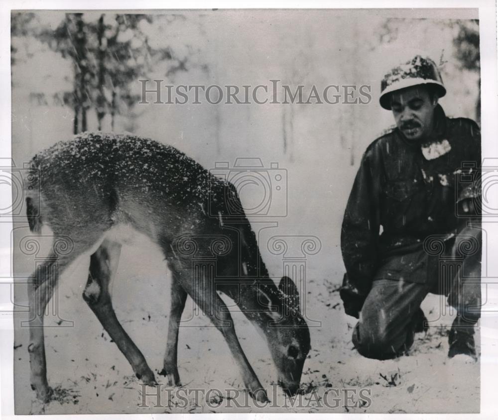 1952 Press Photo Camp McCoy, Wis Pvt Edward Bell feed young deer - nec08161 - Historic Images