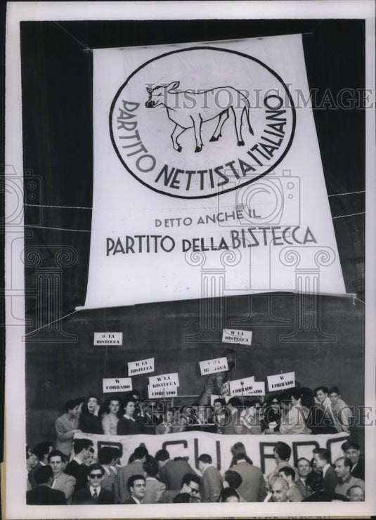 1953 Press Photo Poster with Cow from Italian Nettist Party in Florence Italy - Historic Images