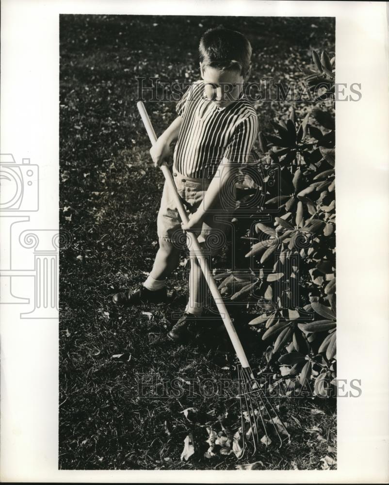 Press Photo A kid using a Shrubbery rake in cleaning their garden - Historic Images